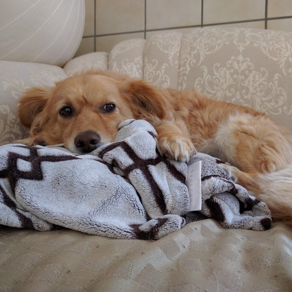 Meet your Posher, Caroline